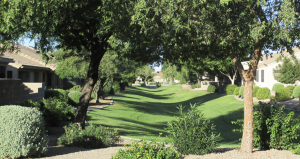 Verde Groves_Arizona_55+_real estate